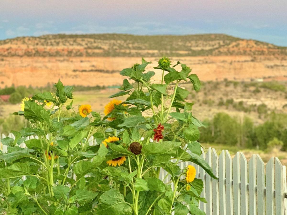 Annie'S Place Bed & Breakfast Boulder Town Dış mekan fotoğraf