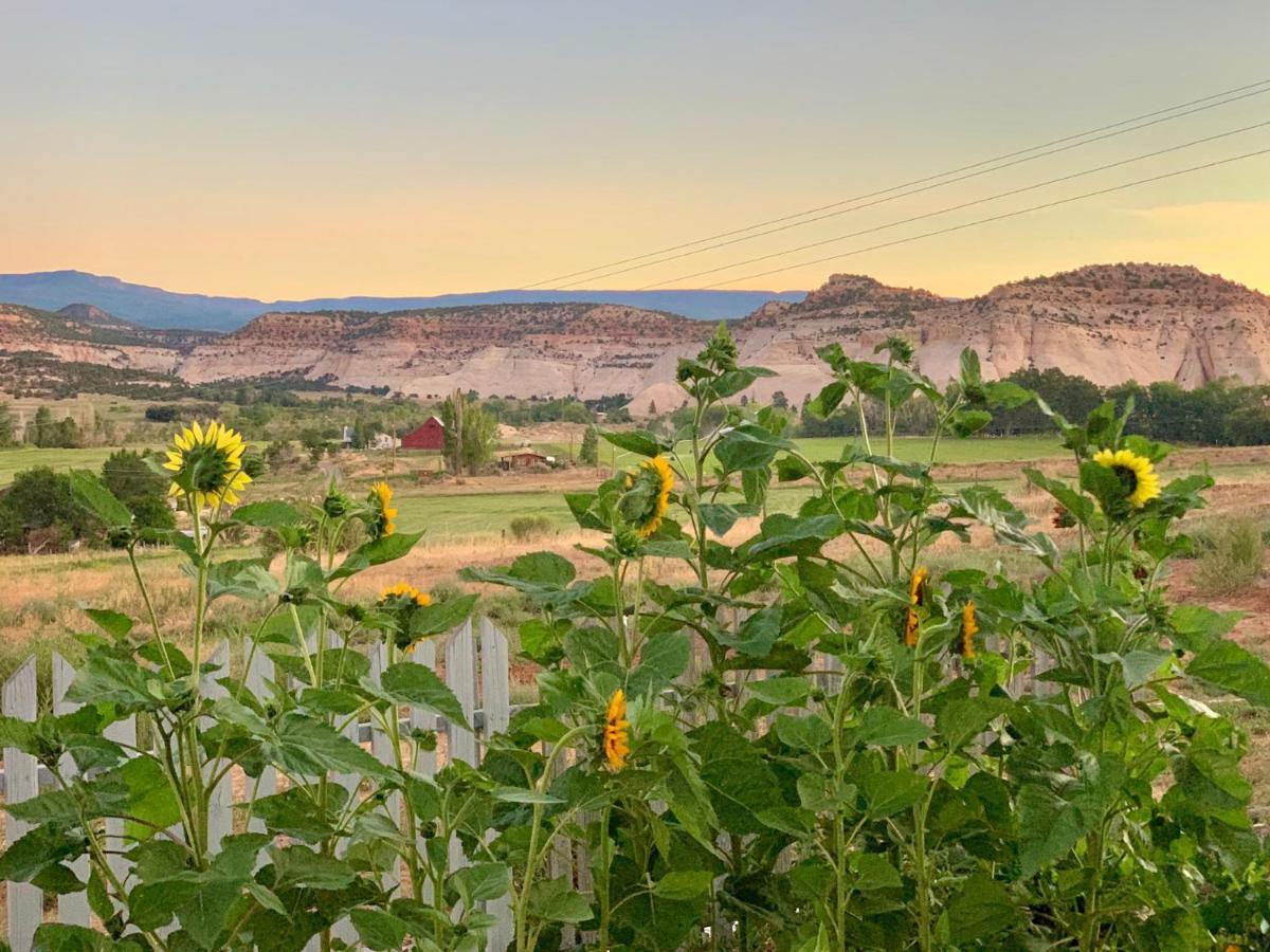 Annie'S Place Bed & Breakfast Boulder Town Dış mekan fotoğraf